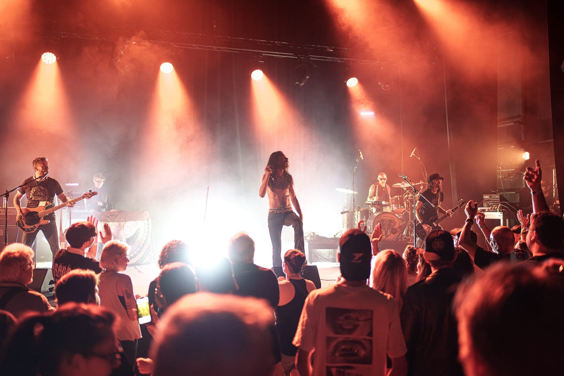 Wicked Elephant Revival en concert