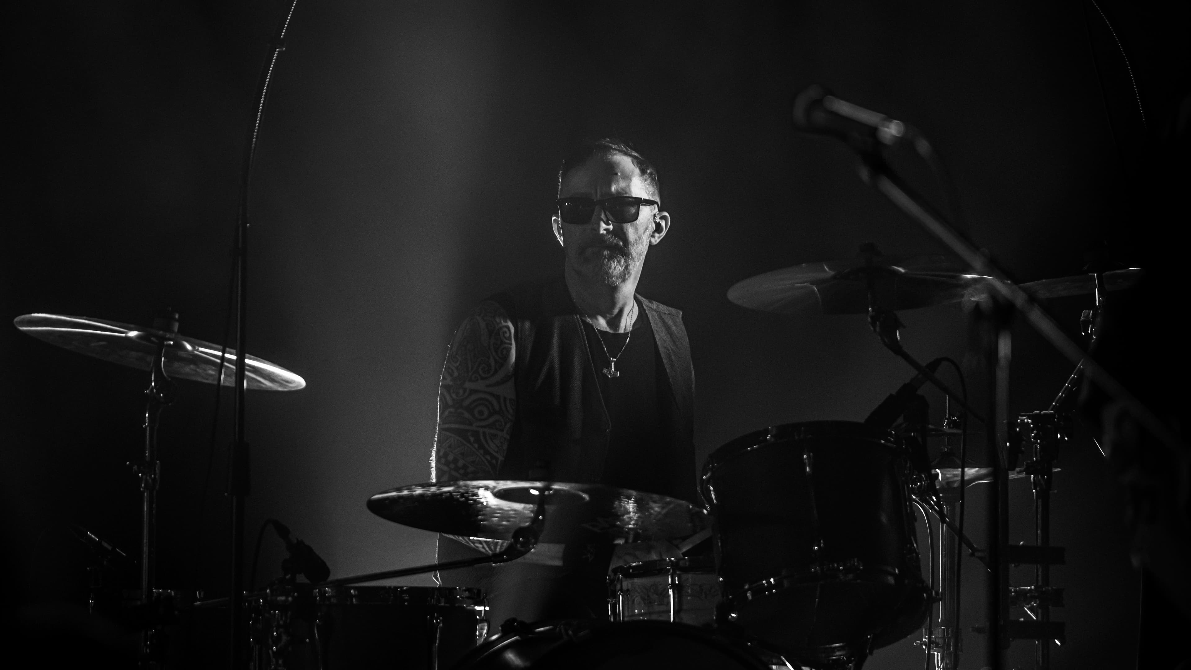 Wicked Elephant Revival, photo 5