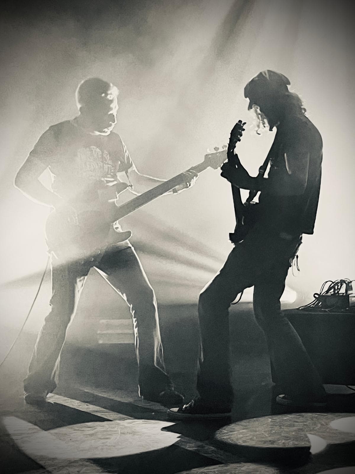 Wicked Elephant Revival, photo 7